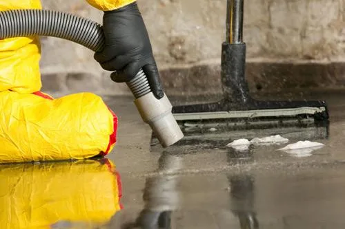 Mould Cleaning l Mould Inspection Brisbane