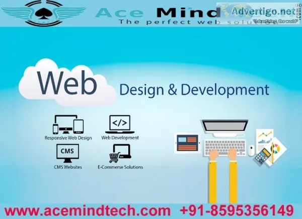 Website development Expert in Delhi  NCR