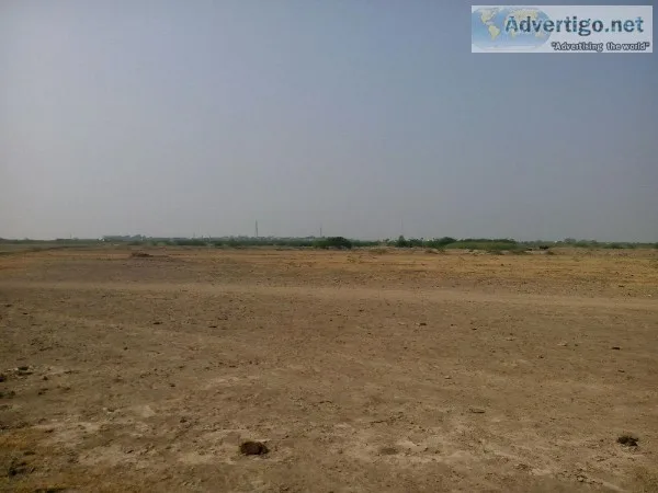 Non Agricultural Commercial Land for Sale at Panchi  Dholera SIR