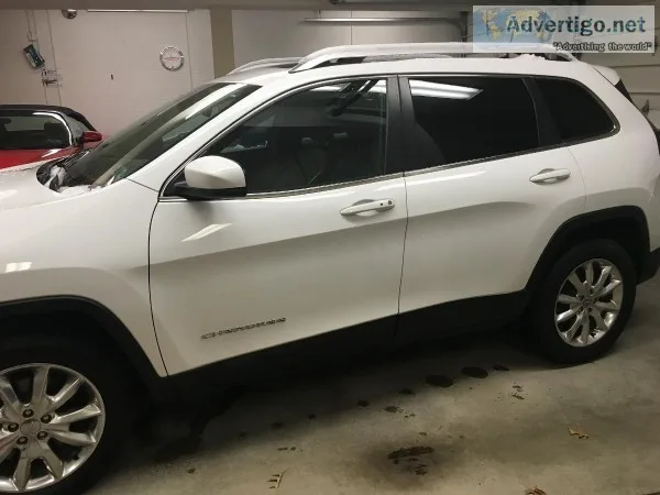 Auto Detailing