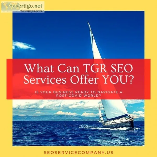 What Can TGR SEO Services Offer You