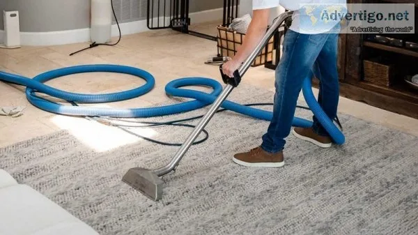 Professional Carpet Steam Cleaner Services
