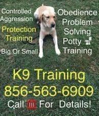 Complete canine control off leash