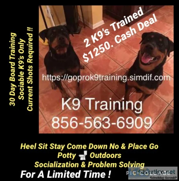 Working with your dogs