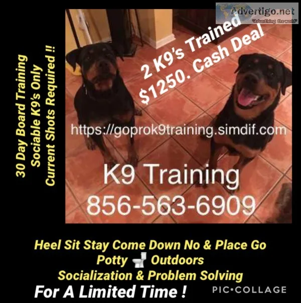 Solving all breed dog problems