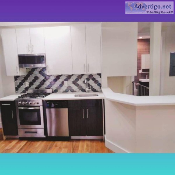 Modernized 2 Floor Apartment w Massive Basement Backyard and Lau