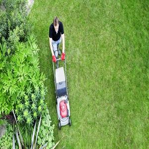 Gardening and Lawn Mowing Services in Perth Wa