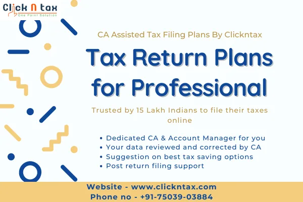 Tax return plans for professional  clicknTax