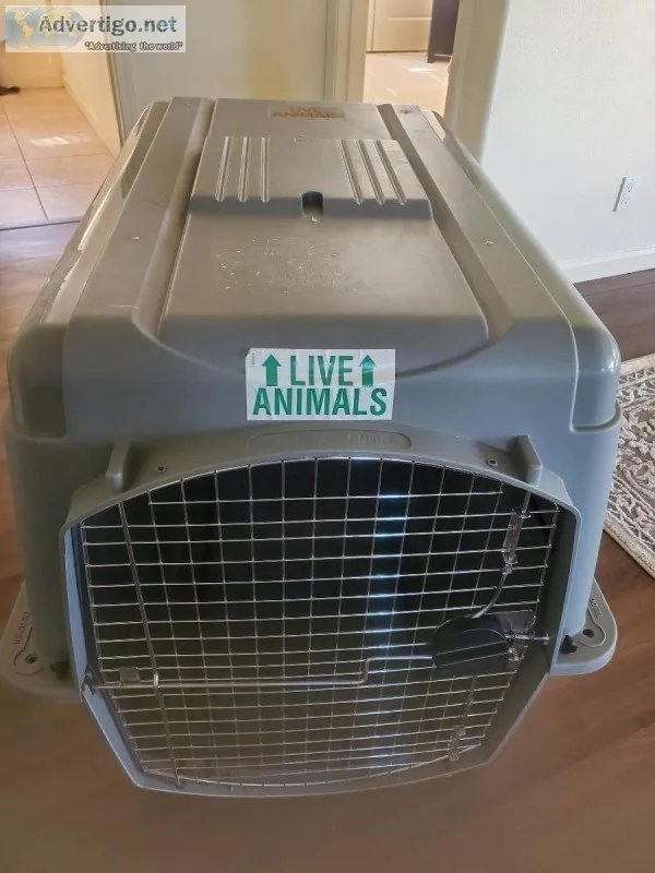 PET CARRIER