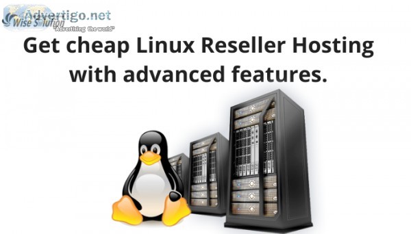 Get fully accessible Windows Reseller Hosting at most cheap pric