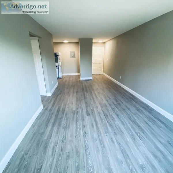 Newly remodeled 2bed1bath