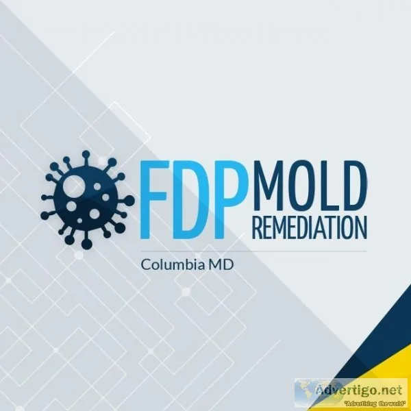 FDP Mold Remediation  Mold Remediation Columbia