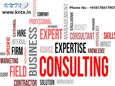 Kntx Tax Consultants Company in Delhi