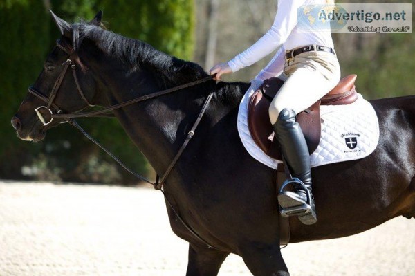 horse riding classes low cost at riverside california