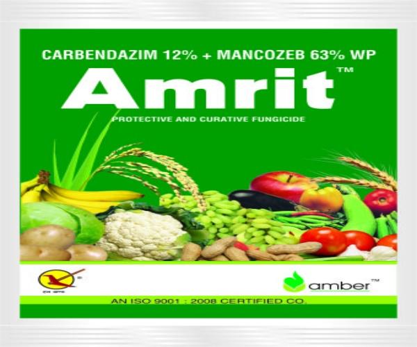 Vegetable Seeds in Etah Firozabad