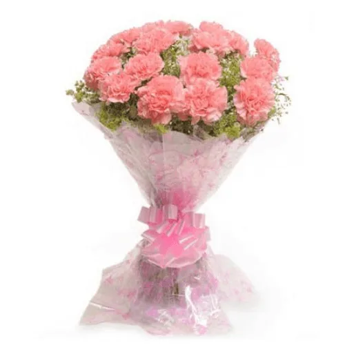 24 Pink Carnation