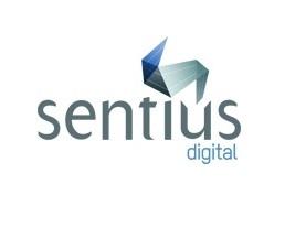 Best of Digital Marketing Company