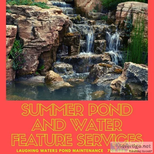 Summer Pond and Water Feature Services