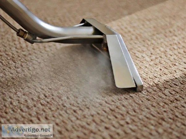 Best Steam Carpet Cleaning Services  CleanMachineUSA
