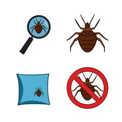 Bed Bug Exterminator