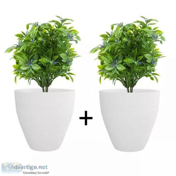 Yuccabe Italia - Offering Best Cluster Pots Online