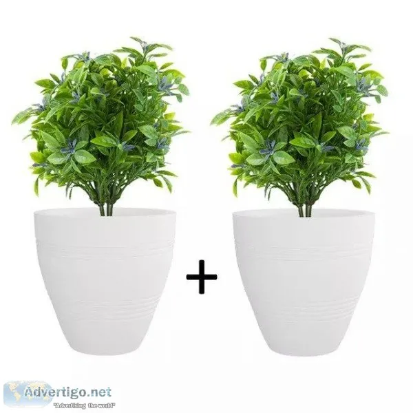Yuccabe Italia - Offering Best Cluster Pots Online