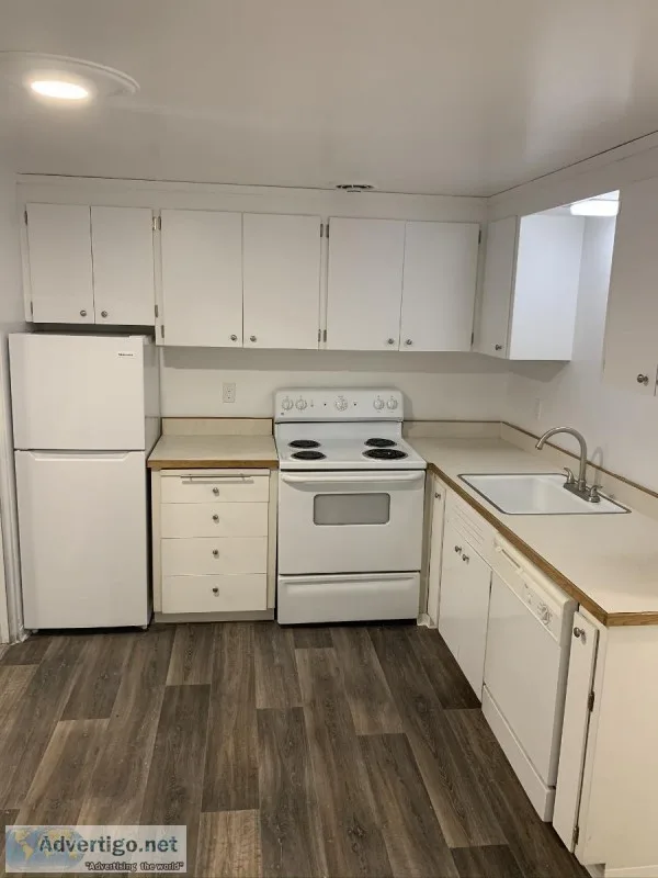 One Month Free in Bellevue