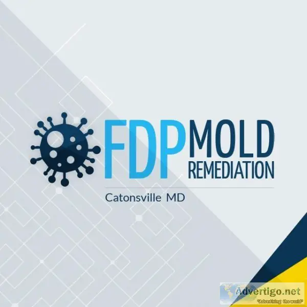 FDP Mold Remediation  Mold Remediation Catonsville