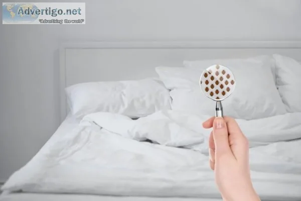 Avail Bed Bug Control Service
