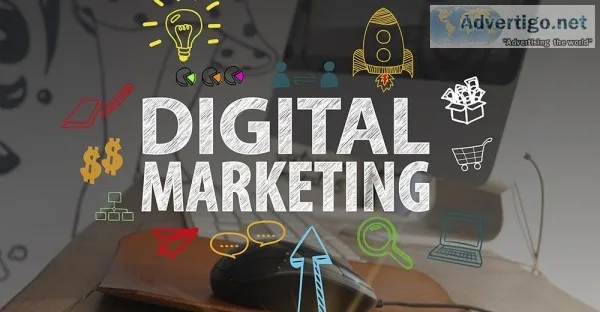 Looking for Best Digital Marketing Agency in Delhi