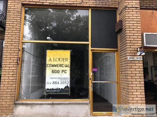 550 sqft space on ground floor Prime location in Rosemont