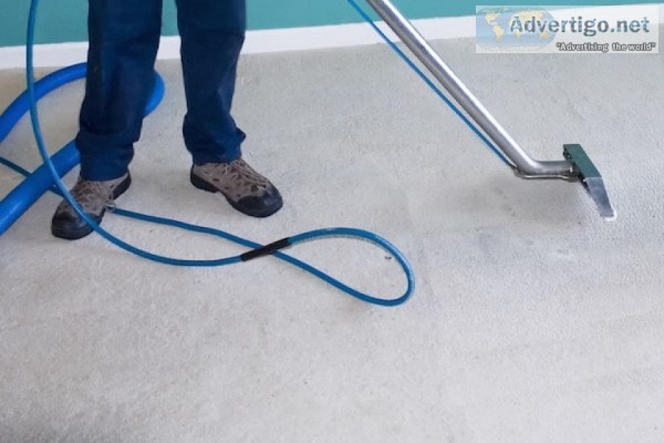 Best Carpet Cleaners  Carpet Clean Adelaide