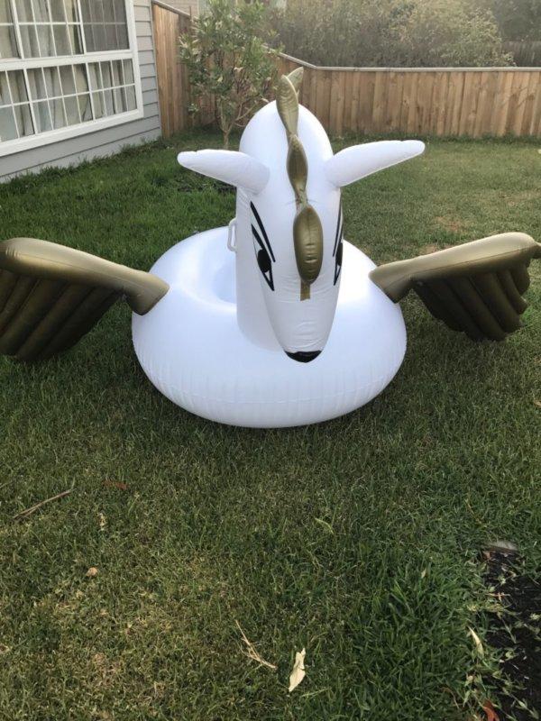 Inflatable Flying Horse  Perfect for Kids and Adults  Jenjo Game