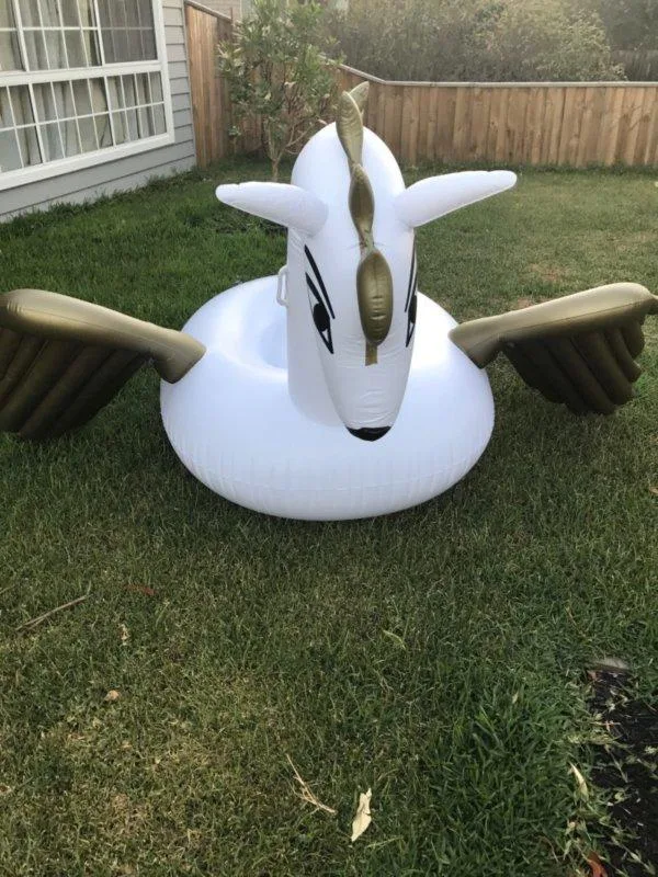 Inflatable Flying Horse  Perfect for Kids and Adults  Jenjo Game