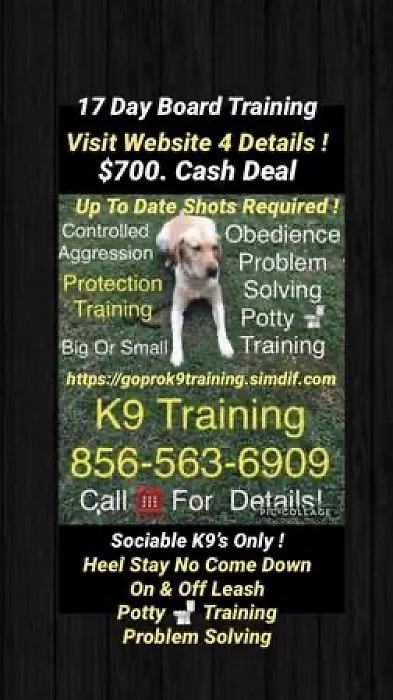 We control all dogs  all breeds 