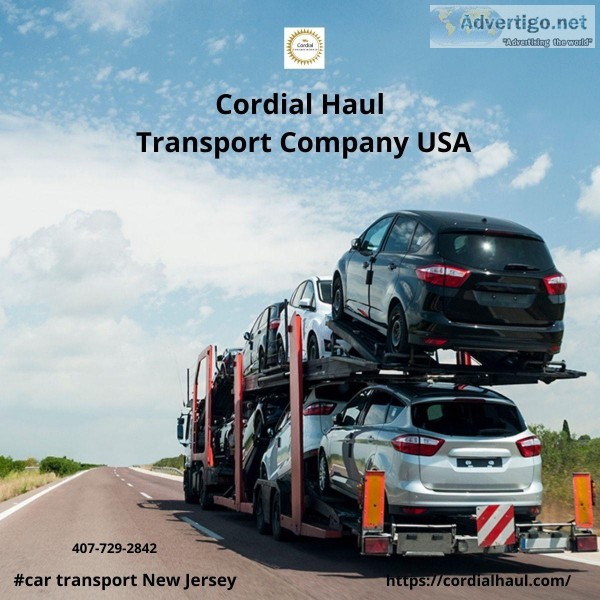 In USA Car Transport Service