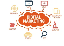 website design in noida