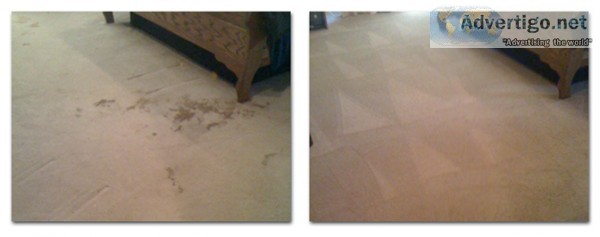 Best Carpet Cleaning Service In Fort Myers