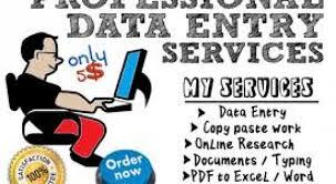 we are offering non voice data entry process.