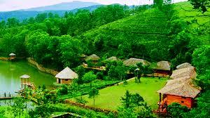 Backwaters Beaches  and Hills of Kerala Holiday Tour Package