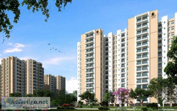 Prestige Primrose Hills Luxury flats in Best Price