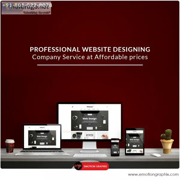 Professional Website Designing Company Service at Affordable pri