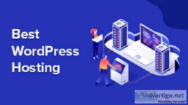 Buy the best WordPress Hosting at cheap prices