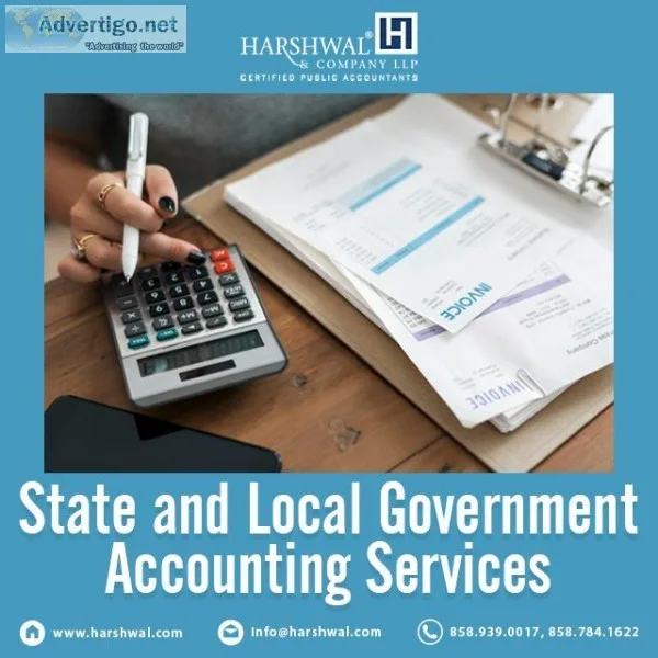 State and Local Government Auditing  Accounting Service Provider