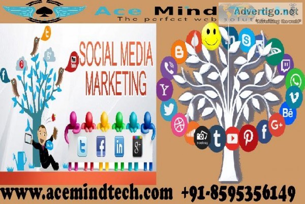 Social Media Marketing Services in Delhi Required