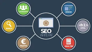 Best Digital Marketing Company in Noida