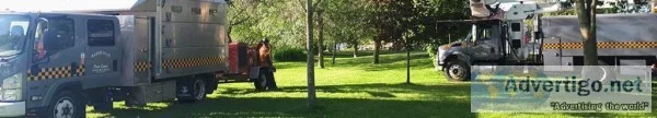 Tree pruning service in oshawa