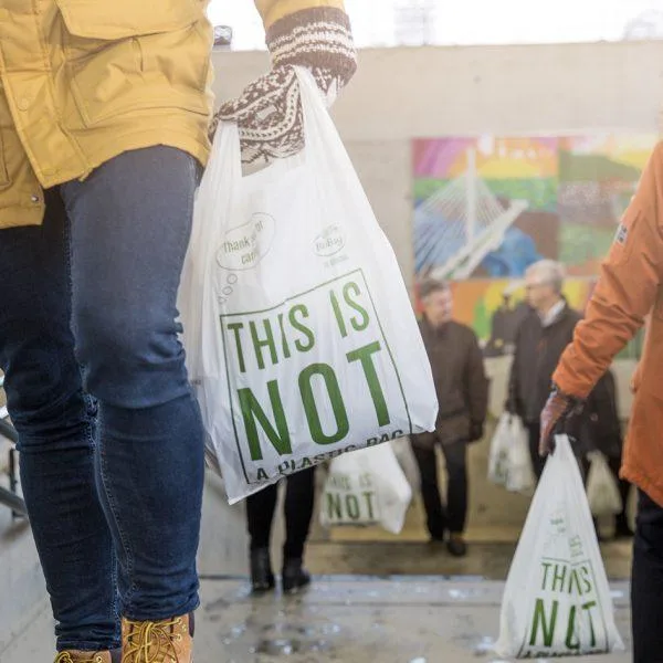 Compostable Shopping Bag Large