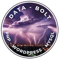 Wordpress Programming Developers