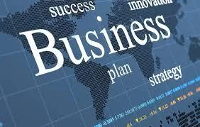 Business Consultancy Services